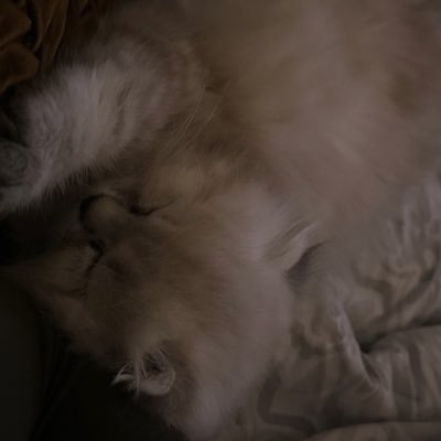 justacoollkid's profile picture. 