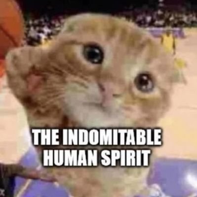 KevinBa1631789's profile picture. un chiste del que nadie se río