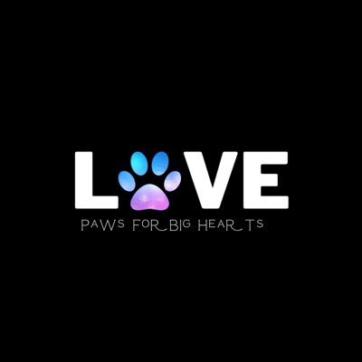 Paws4BigHearts's profile picture. Foster based animal rescue that is dedicated to saving the paws that need second chances!