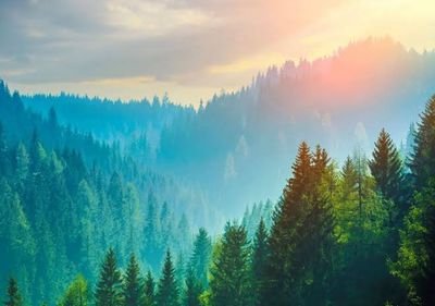 J_DDR5's profile picture. 