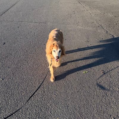 tori_custer's profile picture.
