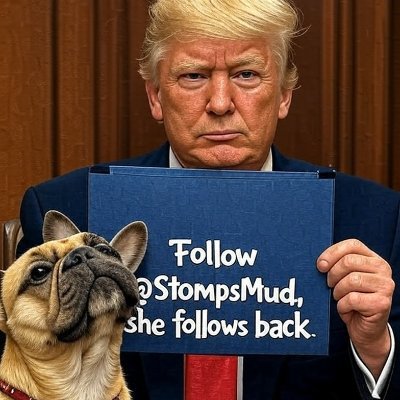 StompsMud's profile picture. To succeed in life, you need four things: a wishbone, a backbone, a funny bone..and a frenchie!!  **MAGA** 🚫NO DM's🚫