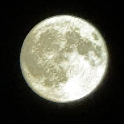 2SpareTire's profile picture. 