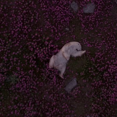 roland70891's profile picture. 