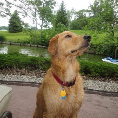 x1sfga's profile picture. Wake me up early be good to my dog and teach my children to pray. EMS X1sfgabn