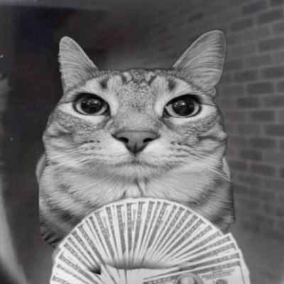 fireflames51's profile picture. virgo // entp-t // im never srs, I joke around a lot // just ask to be oomfs then i will fb // i am Amedtiz // black