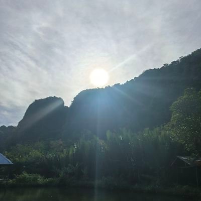 AfraSpace's profile picture. 📊🌾🍠 | Sedang sibuk di dunia nyata | cek link di bawah kalau butuh resources