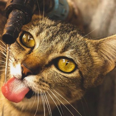 Aduragbemi73890's profile picture. 