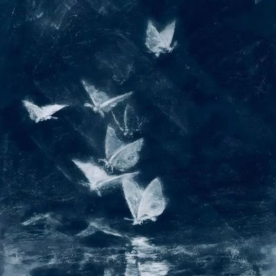 alucinacaoly's profile picture. 𖦹๋ ࣭ ⭑