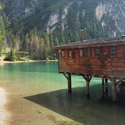 themnoor's profile picture. اللهم ارحم موتانا وموتى المسلمين #اللهم_انصر_الإسلام #المسجد_الأقصى الـحـمـد لله ♡