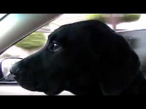 Maxamillion__'s profile picture. Black Prince Maxamillion BigDogg Maxamillion on FB
I am Mascot for Hoopshots.tv and http://t.co/1LtPEJqSC1 I own a Liq Store and Boss Lady Ink