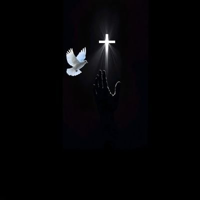 believer1200's profile picture. By His stripes, we are healed 🙏 🙌 ✨️ Child of God.
🛐🛐🛐🛐✝️✝️✝️✝️✝️✝️