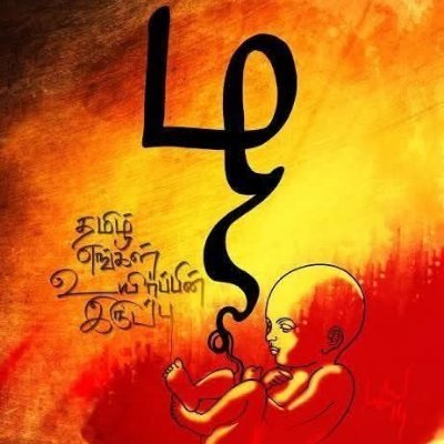AshanmugamNTK's profile picture. மாநில ஒருங்கிணைப்பாளர் குருதிக்கொடைப் பாசறை   
நாம் தமிழர்  கட்சி  
வேலூர்