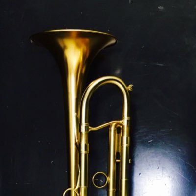 trptdave's profile picture. Musician, band director, T-Wolves believer 🐺 All opinions and thoughts are solely my own.