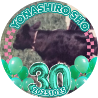 こばやし (@5884_hnty) 's Twitter Profile Photo