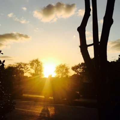 mia774059867047's profile picture. 音楽をこよなく愛する✨🎧専門はclassicで聴くのは主にJazzや洋楽🎶Miles Davis好き🎺