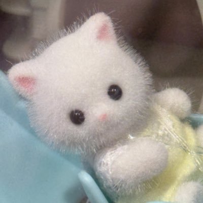 bbo___ro's profile picture. 📚📖★. ⋆｡𖦹 °.