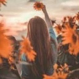 Vema8449426's profile picture. 