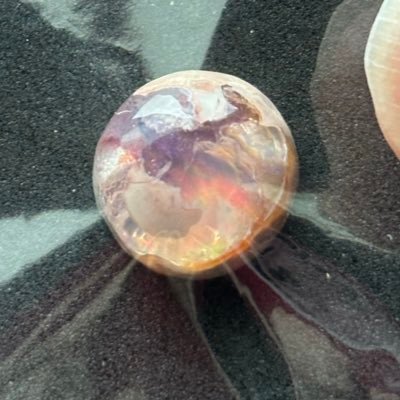 ZsekV2OFKD60038's profile picture. いぬとねこと石がすきです