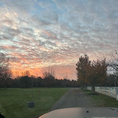 Willena20196431's profile picture. Healing, growing, glowing. One breath at a time