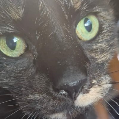 gdemerald_'s profile picture. hi im emerald

mcsr, gd, celeste
rsg pb: 14:51
ranked pb: 9:53
discord gdemerald
https://t.co/9mGCz8VHnf

priv @maplessbt