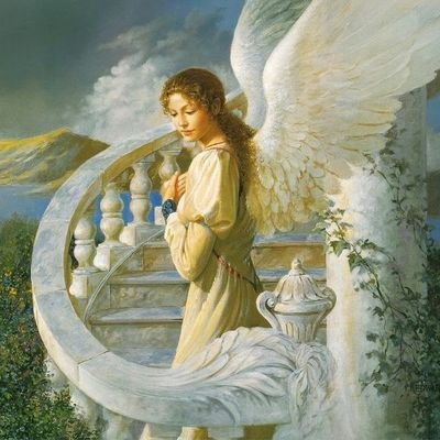 kyanowo1's profile picture. 19