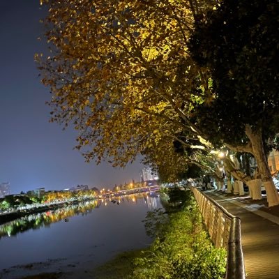 ading999's profile picture. 