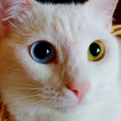 CemMasterGamer's profile picture. 