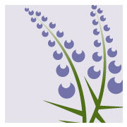 NorthHillMA's profile picture. Vibrant, innovative senior living outside of Boston. Find out about True North, a major initiative with new amenities, residences & services.