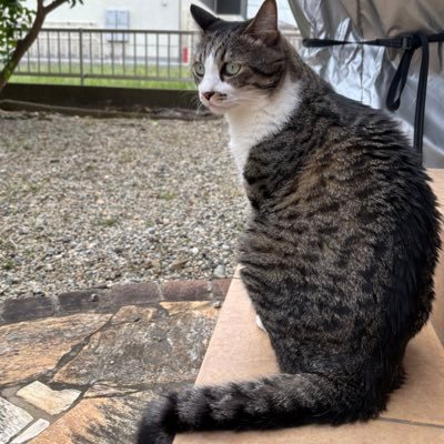 WbhE9QjLW171576's profile picture. 無言フォロー失礼します