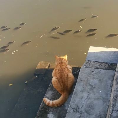 tngymn112659's profile picture. 