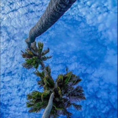 Molamin1012's profile picture. God is good🙏🏿