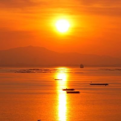 motopo20130320's profile picture. 世界平和　世界友好、皆様に健康と幸運が訪れます様に‥🌠🤲
人間同士の争いが一番醜い‥　
地球上に生きてる、全ての動物‥全ての人間‥全て平等に‥戦争　虐待　殺処分のない世界を‥

日本国　日本人ファースト　
若者子供達を護りたい‥
一日一日を大切に‥
やってみよう　ありがとう
なんとかなる　ありのままに