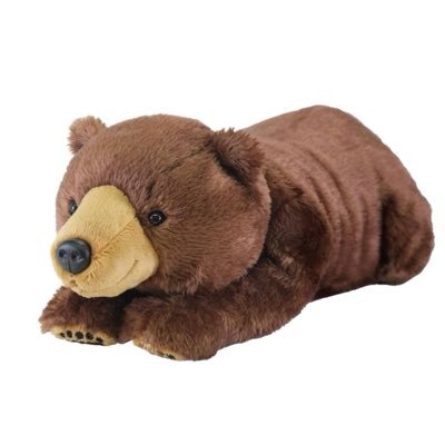 kumasanyanen's profile picture. HELLO 360度 僕らを包むこの世のBeautiful