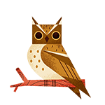 @owl5116