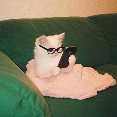 LaUlloita's profile picture.