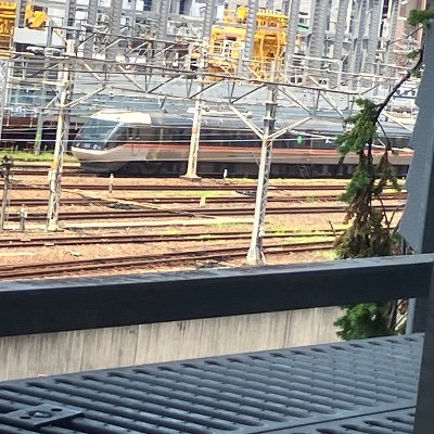 hakureisinka's profile picture. 博麗神華です💕鉄道と東方、猫が好きです。それと愛子さまに忠誠を誓います。注意⚠️博麗神華というキャラクター自体は東方プロジェクトの二次創作オリキャラです設定は霊夢の将来の実の娘です。パロディアカウントです。皆様も是非愛子さまに忠誠を誓いましょう。それとお悩み相談乗りますもちろん無料です当たり前ですけど。