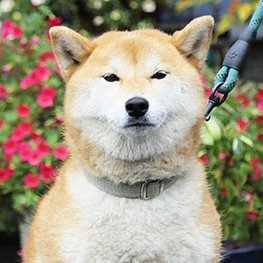 hibikikai_revo's profile picture. 「うちは機械しか買わない」そんな時代は終わり💥工場や倉庫、工作機械・機械工具までまとめて買取りします！他社が敬遠する🏭廃工場・放置工場・残置物付き物件も全国で買取中✨
工場物件の買取りフォーム⏩
https://t.co/JSbvghTfMY
#工作機械売却 #工場売却 #工場用地