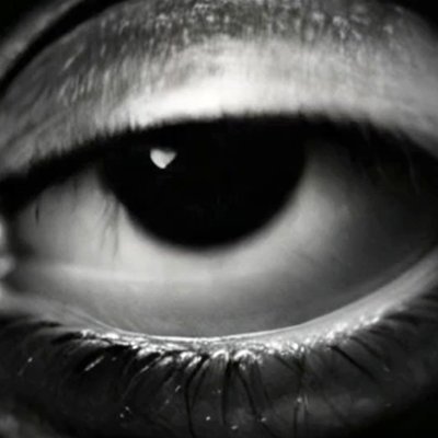 erreyriz's profile picture. A mere glitch in the system of life. 🜹
⌜ai-explorer⌝
https://t.co/cKZyo1LhZI