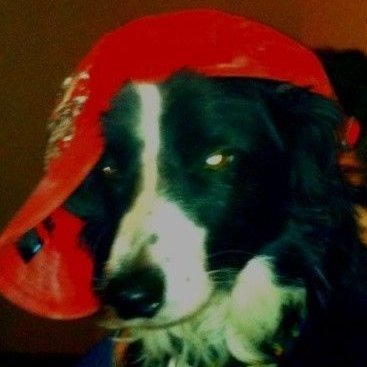 tender_lovncare's profile picture. ultra high energy gamma ray burst