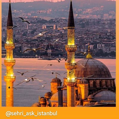 CMaldonado44287's profile picture. 