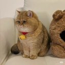 Patrick Ho - @patrick192cm - Twitter