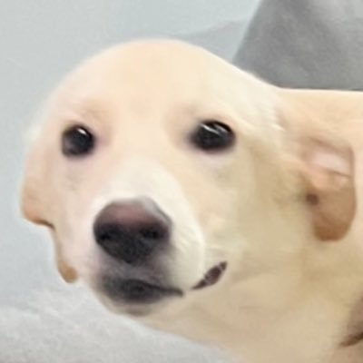 RBCHI's profile picture. Building with Impossible Fi for better crypto world| prev: Nervos advocate. Focus on infra research such as L1 ,cryptography and protocol mechanism