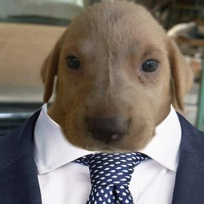 Sebix1720's profile picture. una descripción bastante razonable