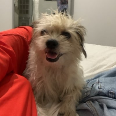 malumlsf's profile picture. nem sempre se vê mágica no absurdo