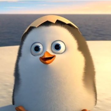 HacgiayKM's profile picture. Freelancer . 💘