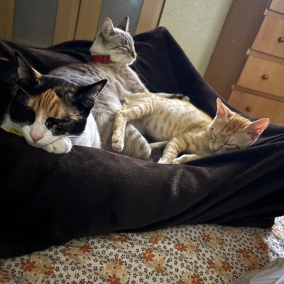 FabioZapata5's profile picture. God Is dead.