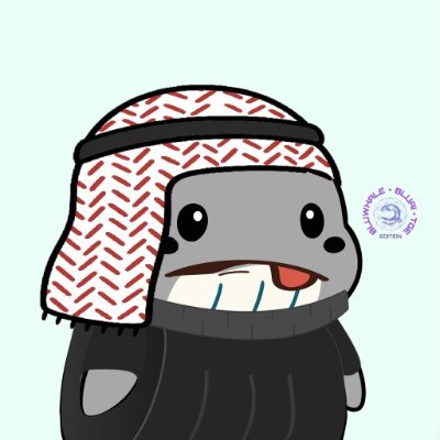 muslima12250034's profile picture.