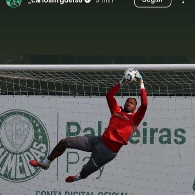 BrunoTFarah's profile picture. Advogado formado pela PUCCAMP, especializado em Direito do Trabalho pela PUC/SP. Pitacos de Palmeiras e de tudo um pouco. Gol Sul e agora Gol Norte.