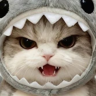 @TMWS__